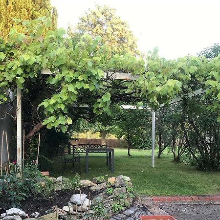 Ferienwohnung Rebenlaub Heringen  Exterior foto